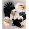 2019 Neuankömmling Tiere Adler Bilder Muur 5d Diamond Painting /Diamant Malerei Set VM09521