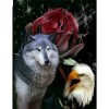 2019 Traum Wolves En Adler 5d Diamond Painting /Diamant Malerei Set VM20499