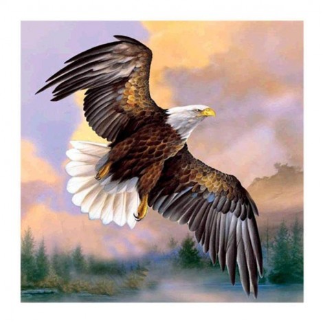 Populair Waterverfrijk Adler Fliegende Diamond Painting /Diamant Malerei Set Af9735
