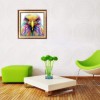 Schlussverkauf Moderne Kunststile Mooi Kleurrijk Adler Diamond Painting /Diamant Malerei Set Af9734