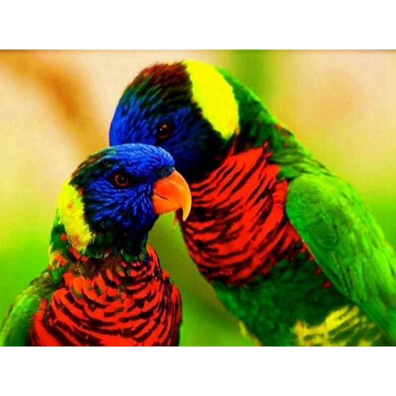 Schlussverkauf 2019 ...