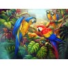 Neuankömmling Schlussverkauf 5D Diamond Painting /Diamant Malerei Stickerei Karikatur Vogel Papagei Set VM7711