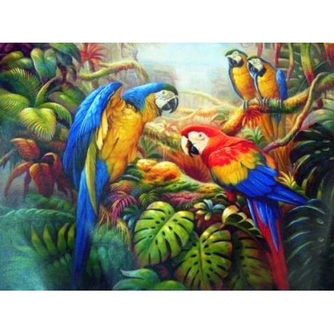 Neuankömmling Schlussverkauf 5D Diamond Painting /Diamant Malerei Stickerei Karikatur Vogel Papagei Set VM7711