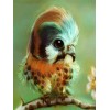 2019 Besondere Schattig Vogel Bilder 5d Diamond Painting /Diamant Malerei Set VM8270