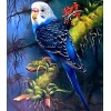 Neuankömmling Schlussverkauf 5D Diamond Painting /Diamant Malerei Stickerei Vogel Papagei Set VM7715