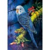 Neuankömmling Schlussverkauf 5D Diamond Painting /Diamant Malerei Stickerei Vogel Papagei Set VM7715