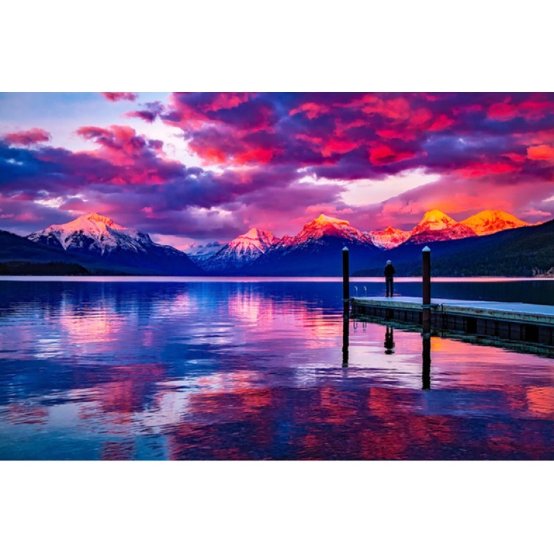 2019 Neuankömmling ...