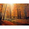 2019 Neuankömmling Schlussverkauf Herbst Wald 5d Diamond Painting /Diamant Malerei Set VM39034