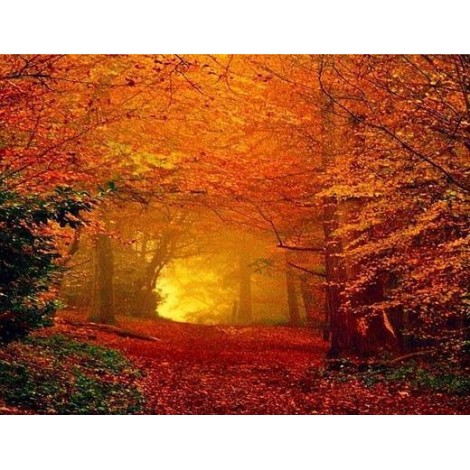 2019 Landschap Herbst Wald 5d Diamond Painting /Diamant Malerei Set VM39030
