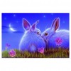 2019 Traum Tiere Schattig Hase Patroon 5d Diamond Painting /Diamant Malerei Set VM9686