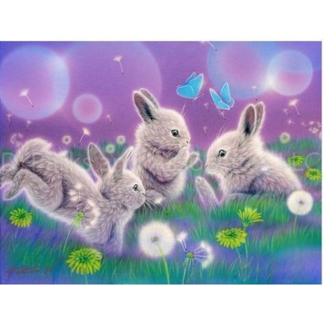 2019 Traum Schattig Hase Patroon 5d Diamond Painting /Diamant Malerei Set VM9688