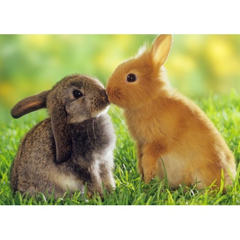 Für Anfänger Voll Strasssteine Hase 5D Diamond Painting /Diamant Malerei Set NA0221