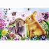 Traum Hase 5D Diamond Painting /Diamant Malerei Set NA0248