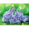 Traum Vol Eckig Strasssteine Hase 5D Diamond Painting /Diamant Malerei Set NA0262