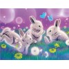 Traum Hase 5D Kreuzstich Diamond Painting /Diamant Malerei Set NA00261