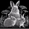 Schwarz Und Weiß Vol Eckig Strasssteine Hase Familie 5D Diamond Painting /Diamant Malerei Set NA0259