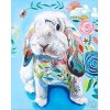Waterverfrijk Hase 5D Kreuzstich Diamond Painting /Diamant Malerei Set NA0260