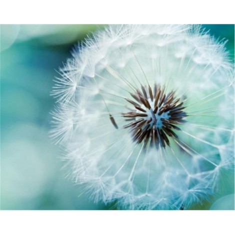 2019 Traum Mooi Wit Löwenzahn 5d Diamond Painting /Diamant Malerei Set VM9771