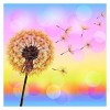 2019 Traum Löwenzahn 5d Diamond Painting /Diamant Malerei Set QB5141