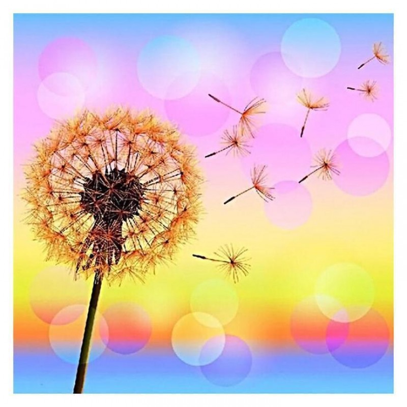 2019 Traum Löwenzah...