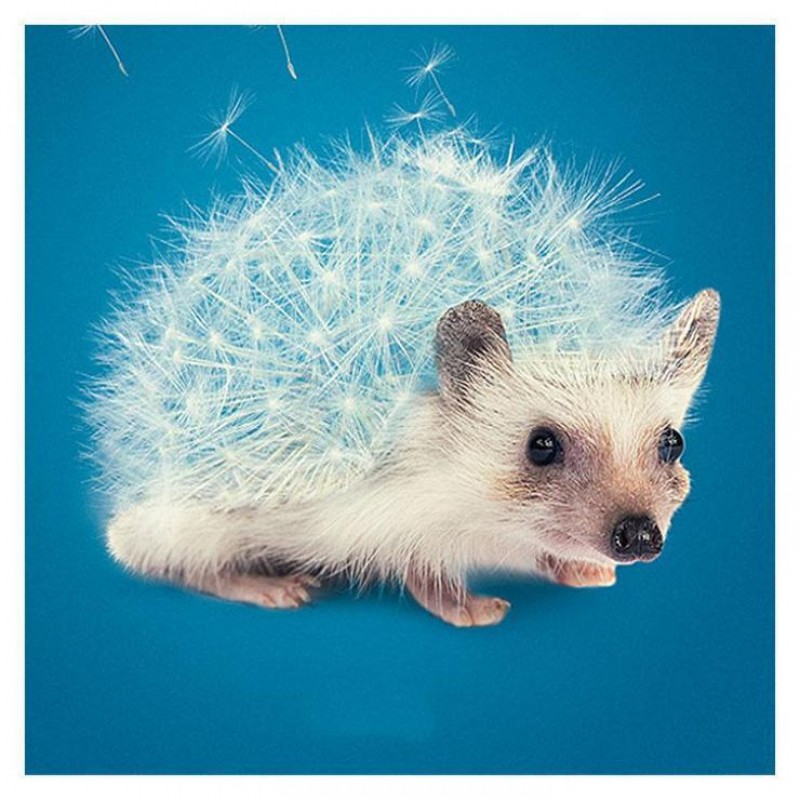 Schlussverkauf Beson...