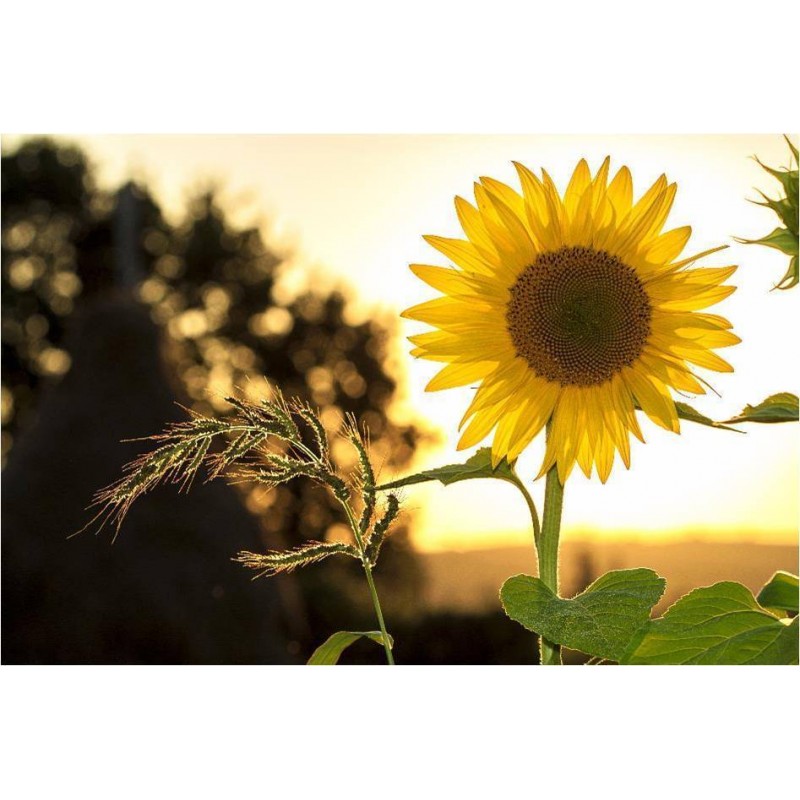 Schlussverkauf Voll ...