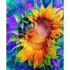 2019 Billig 5d Diamond Painting /Diamant Malerei Stickerei Kreuzstich Blume Set VM20458