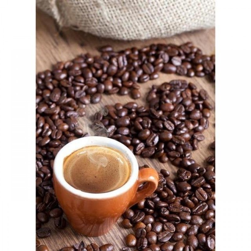 2019 Neuankömmling ...