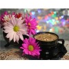 2019 Neuankömmling Schlussverkauf Kaffee En Blume Bilder 5d Painting Set VM3016