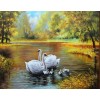 Ölgemälde Stile Schwans Familie 5D Diamond Painting /Diamant Malerei Set NA0715