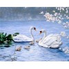 2019 Traum Wit Elegant Schwan Minnaar 5d Diamond Painting /Diamant Malerei Stickerei En ating VM1512