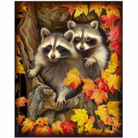 Besondere Vol Eckig Strasssteine Waschbär 5d Diamond Painting /Diamant Malerei Set NA0385
