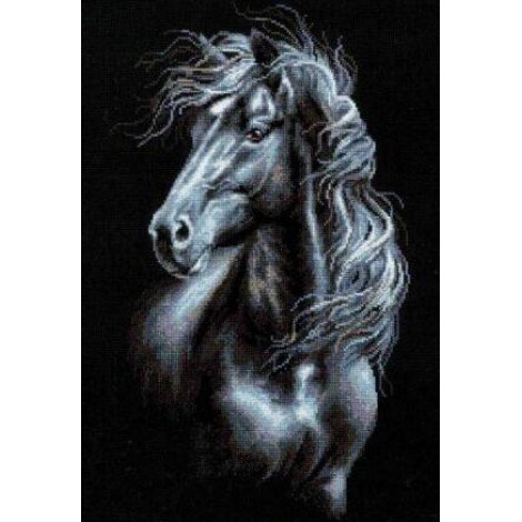 2019 Schwarz Und Weiß Bilder 5d Diamond Painting /Diamant Malerei Set VM9732