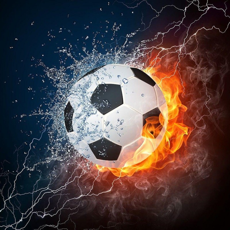 2019 Billig Vol Ecki...