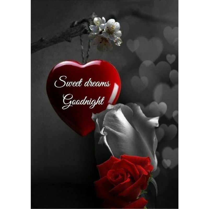 2019 Neuankömmling ...