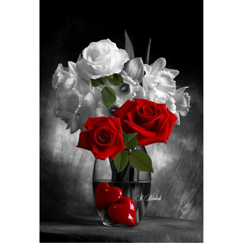 2019 Neuankömmling ...