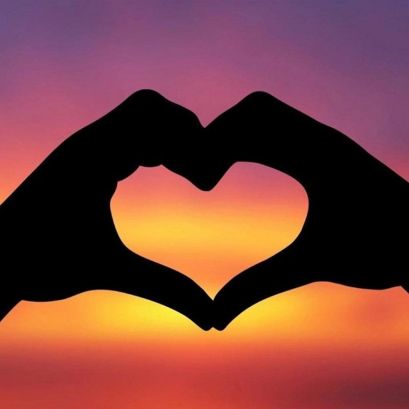 2019 Neuankömmling ...