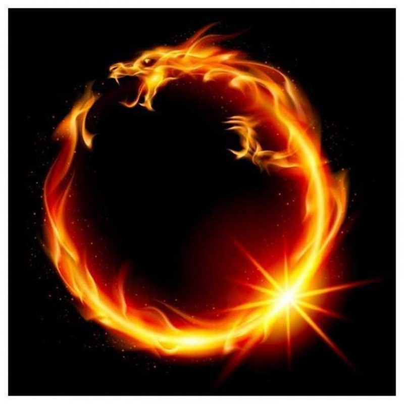 2019 Neuankömmling ...