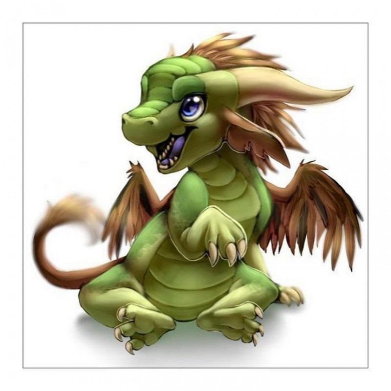 2019 Neuankömmling ...