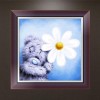 2019 Neuankömmling Schlussverkauf Teddy Bär Patroon Diamond Painting /Diamant Malerei Set VM39022