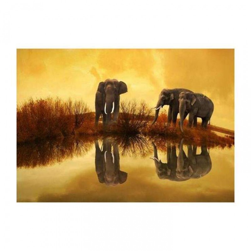 2019 Bestees Versier...