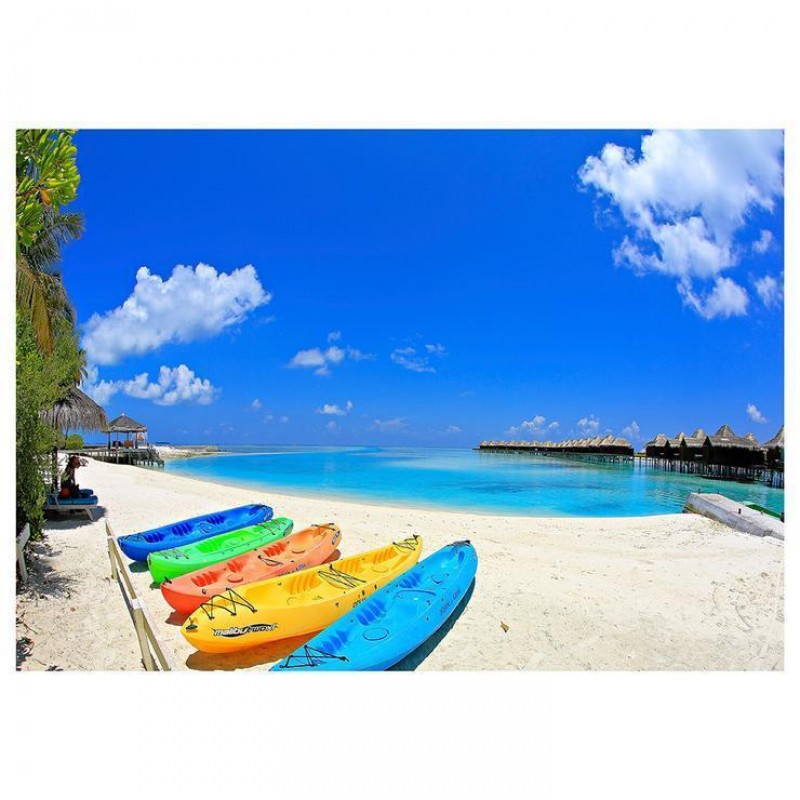 2019 Neuankömmling ...