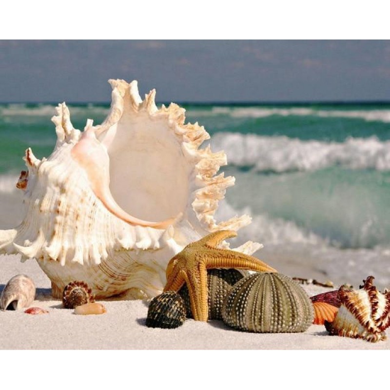 Für Anfänger Wunde...