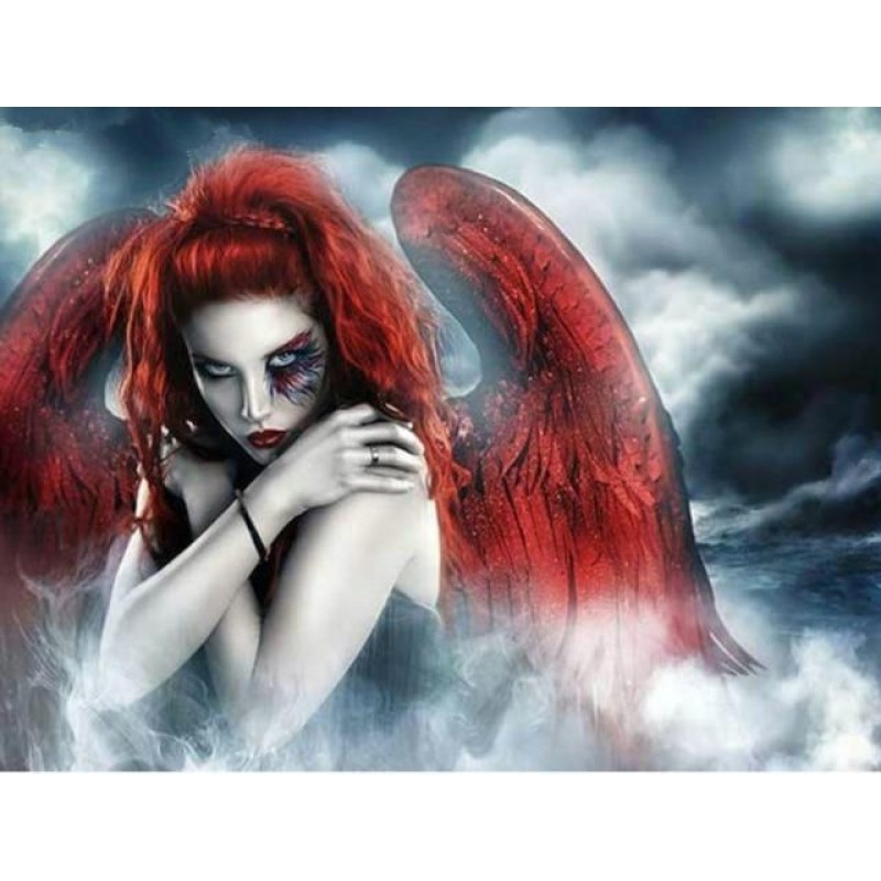 2019 Neuankömmling ...