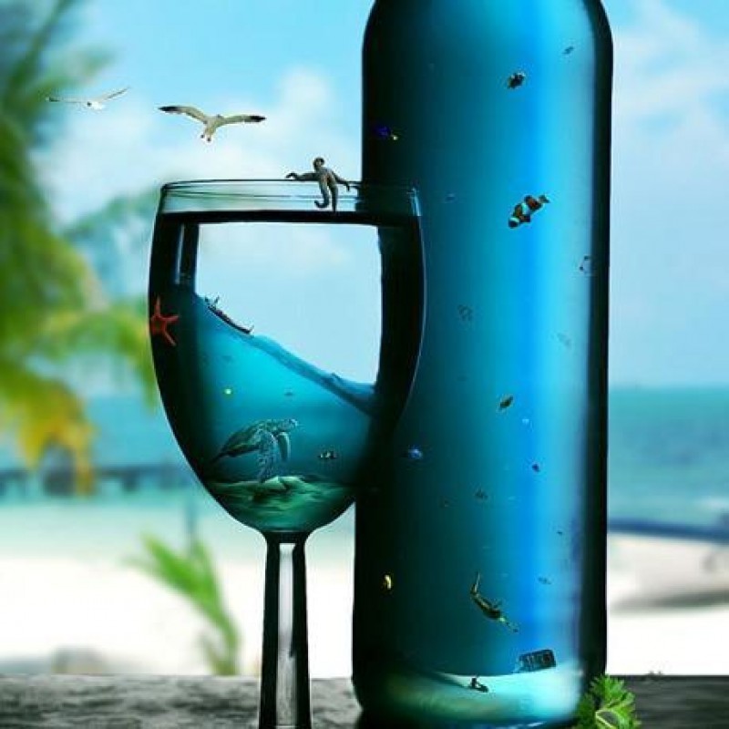 Populair Schlussverk...