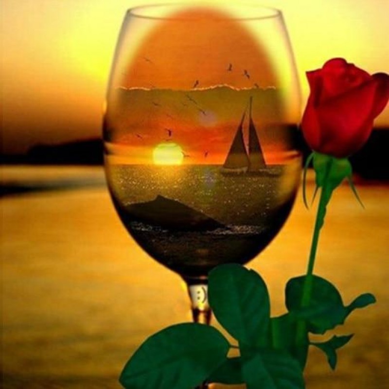 Neuankömmling Popul...