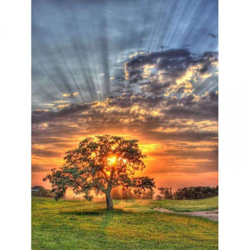 Verschillende Maten ...