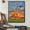 Verschillende Maten Mooi Sun Shines Through Baum Diamond Painting /Diamant Malerei Set Af9721