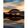 2019 Traum Meer Baum Zonsondergang 5d Diamond Painting /Diamant Malerei Set VM9698
