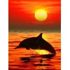 2019 Traum Natuurlijk Zonsondergang Delphin 5d Diamond Painting /Diamant Malerei Set VM9691